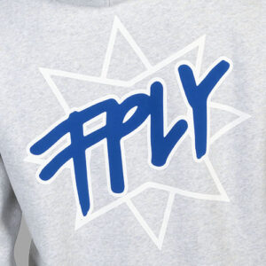 Hoodie FPLY light gray - Image 3